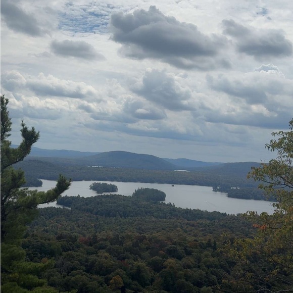 Tag your it - your flock is joining the live - Picture 5 of 11